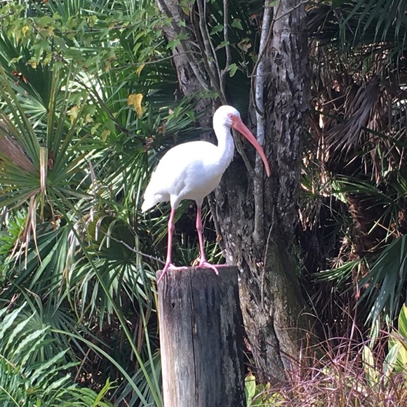 Meet your Posher, G - Picture 1 of 1